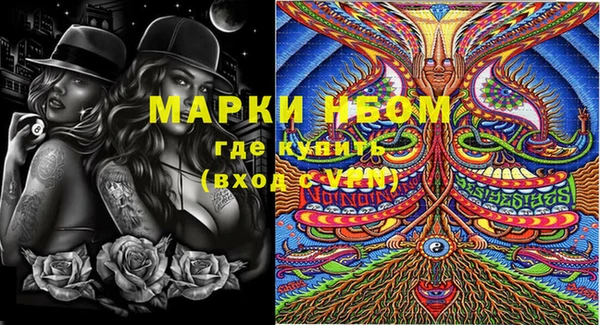 эйфоретик Белокуриха