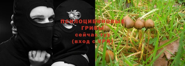 эйфоретик Белокуриха