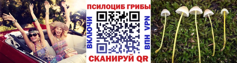 Галлюциногенные грибы GOLDEN TEACHER  MEGA сайт  Видное  магазин продажи  